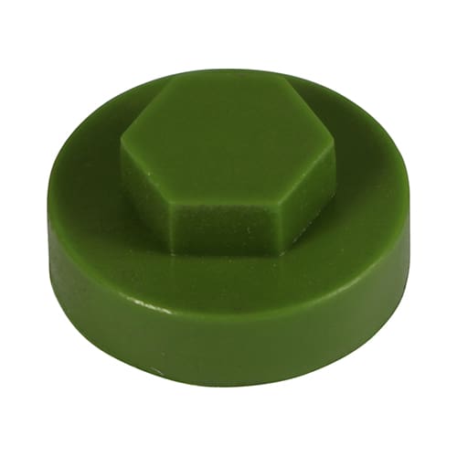 1612D45CAP_w1.jpg